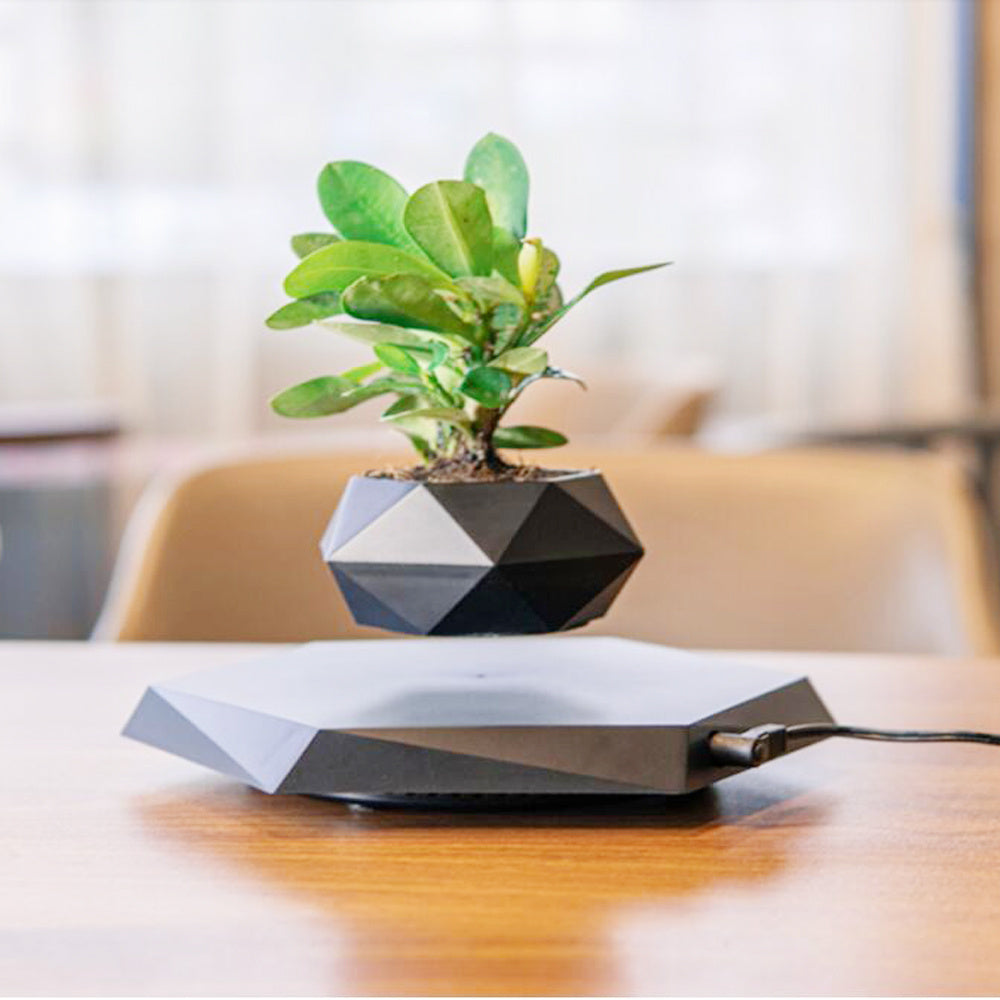 Floating Magnetic Levitating