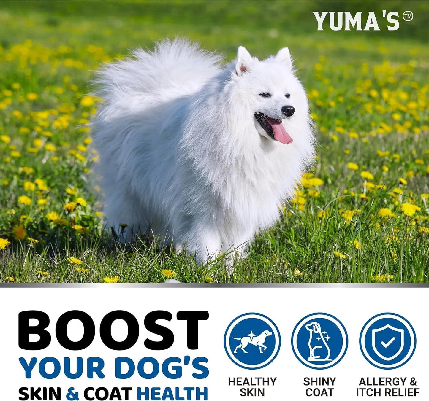 2 Pack Omega 3 Fish Oil For Dogs Skin And Coat Supplement Dry & Itchy Skin Relief