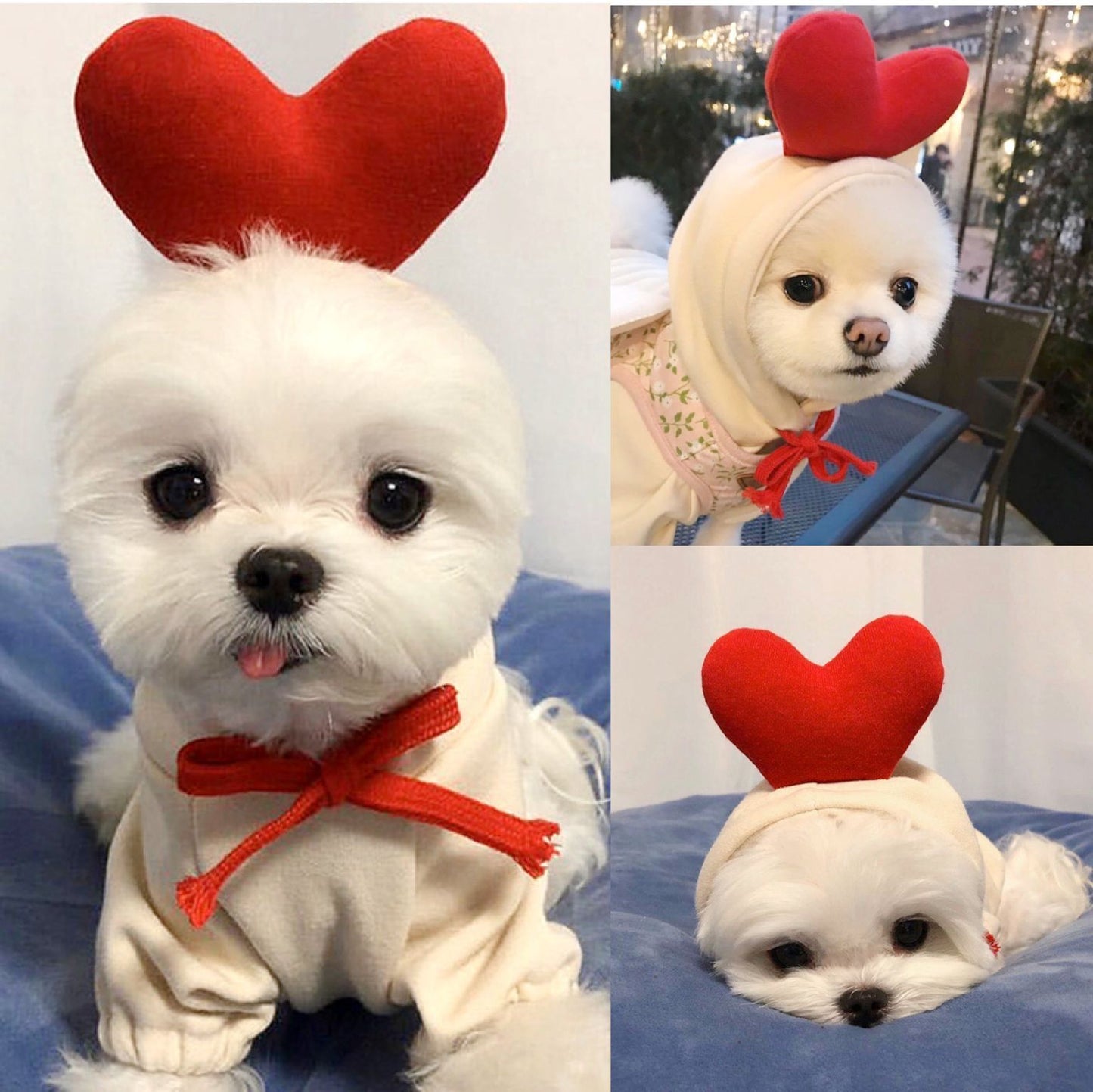 Pet Clothing Puppy Cat Costume