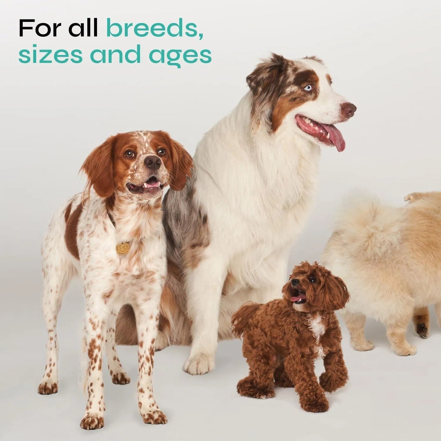 Calming Chews For Dogs Anxiety Relief 130 Chews Hemp Calming Chews For Dogs