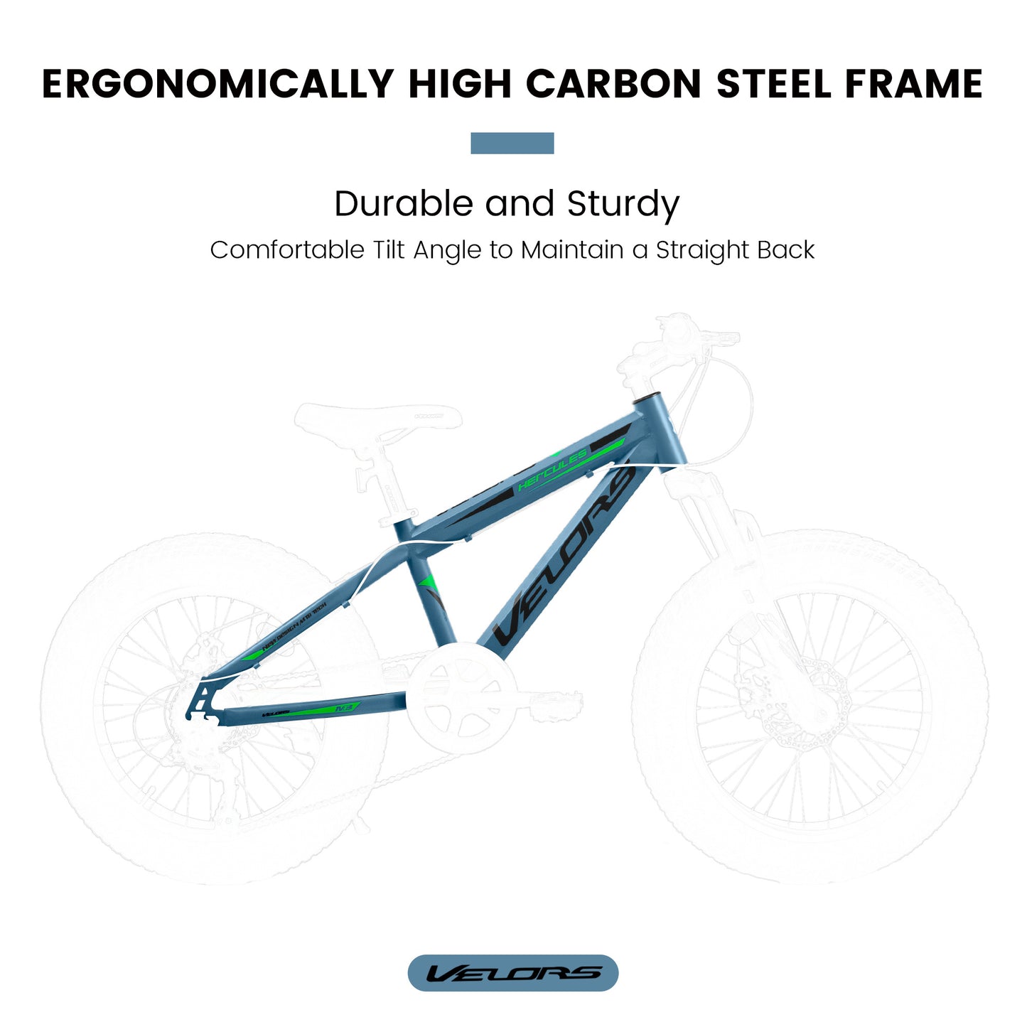 V20235 20 Inch Fat Tire Bike 7 Speed Mountain Bike, Dual Disc Brakes