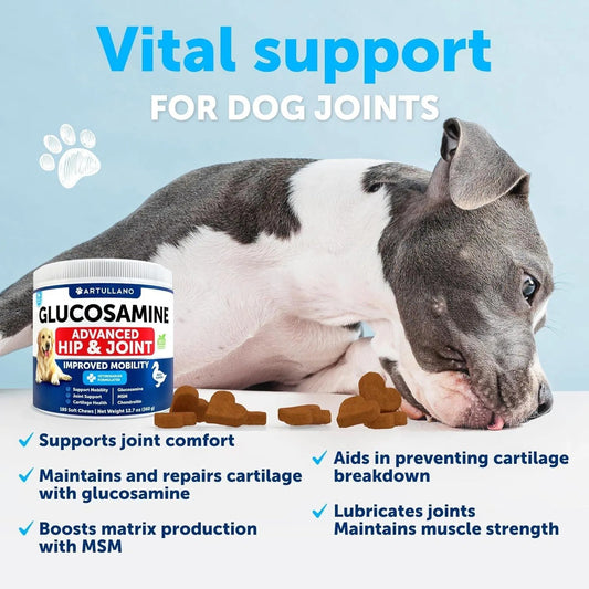 Glucosamine For Dogs Hip And Joint Supplement For Dogs With Arthritis
