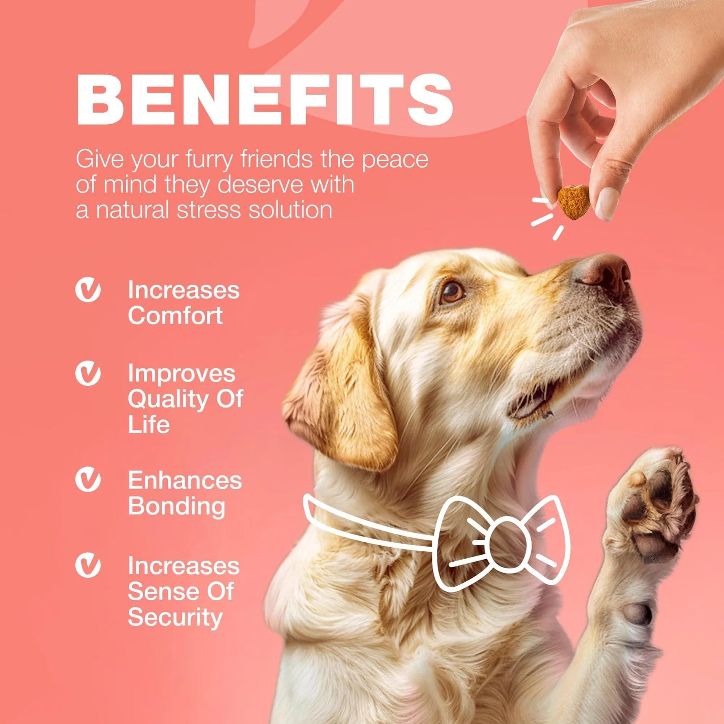 Dog Flea & Tick Control Soft Treats Immune Support Supplement