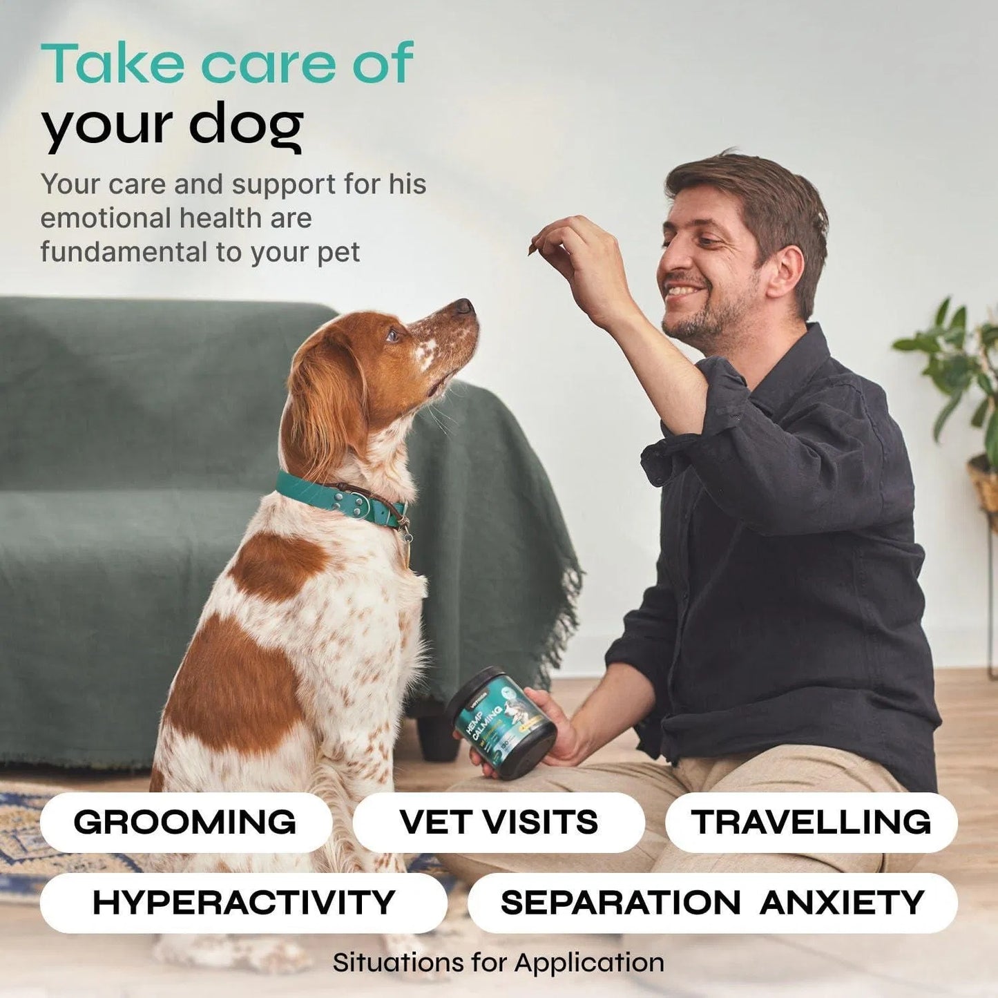 Calming Chews For Dogs Anxiety Relief 130 Chews Hemp Calming Chews For Dogs