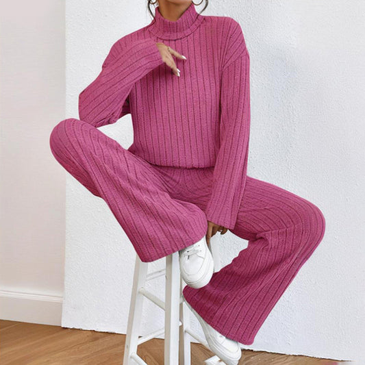 Women's Solid Color 2-Piece Set High Neck Long Sleeve