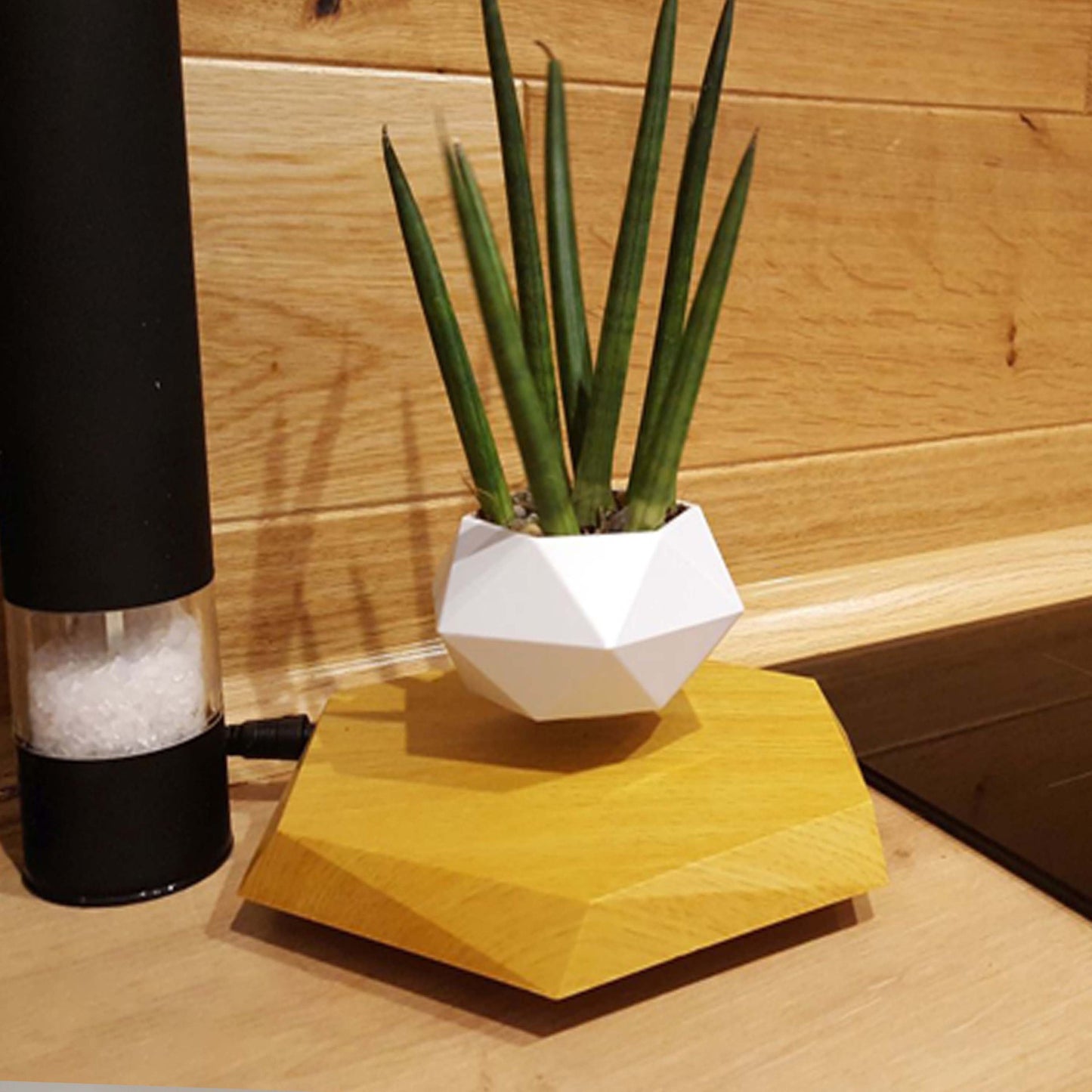 Floating Magnetic Levitating
