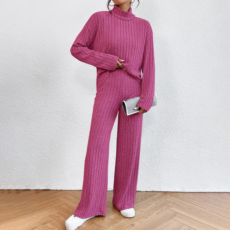 Women's Solid Color 2-Piece Set High Neck Long Sleeve