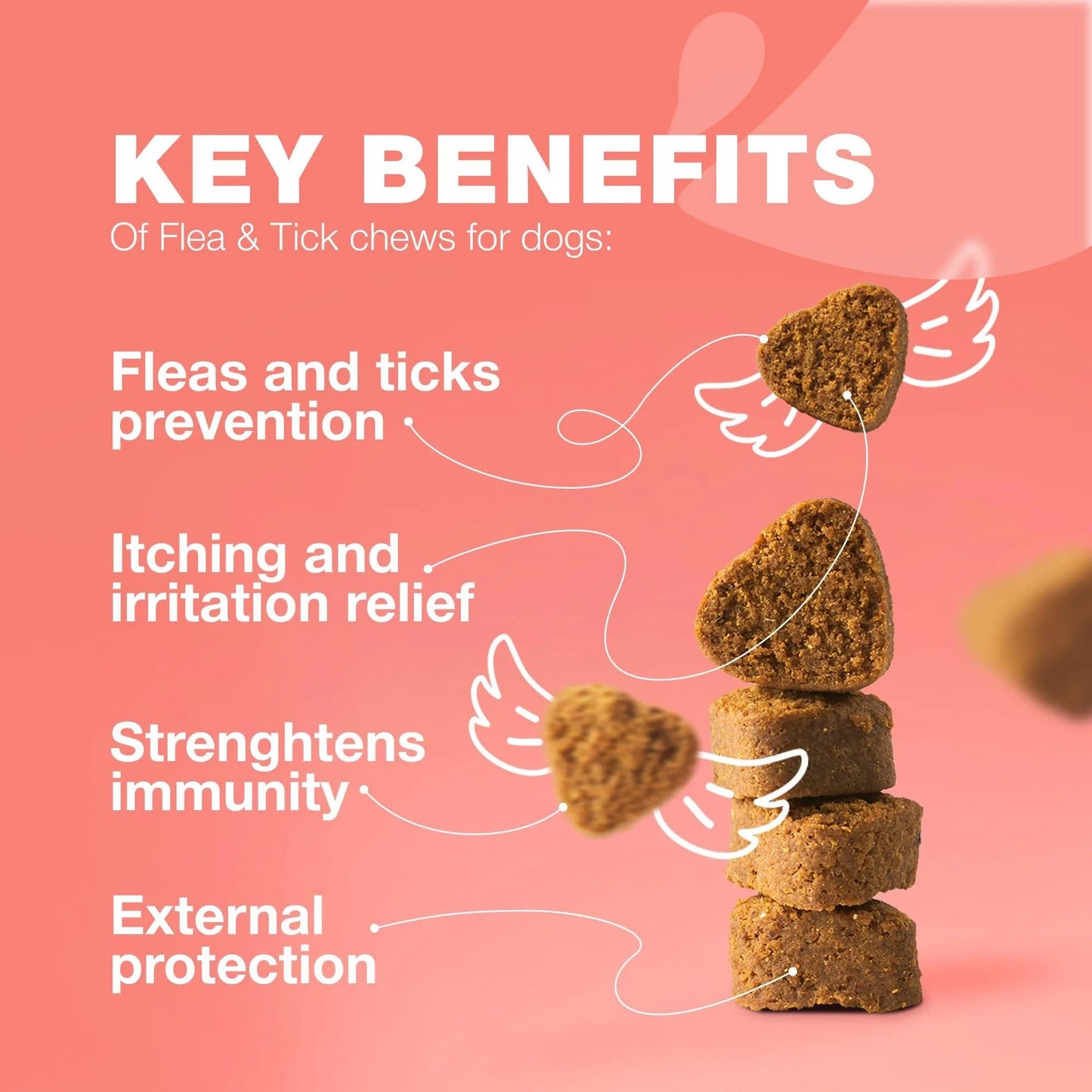 Dog Flea & Tick Control Soft Treats Immune Support Supplement
