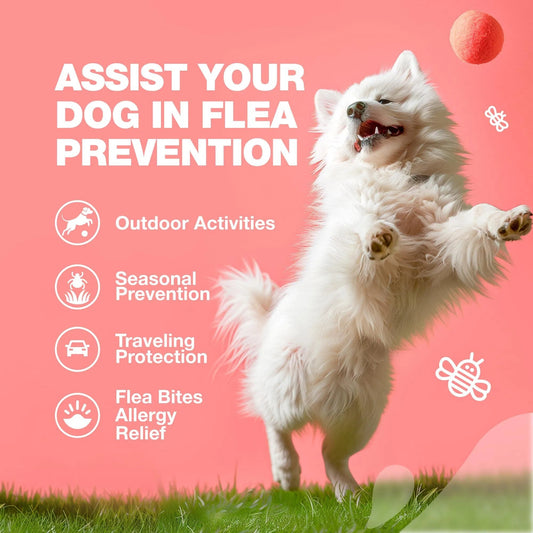Dog Flea & Tick Control Soft Treats Immune Support Supplement